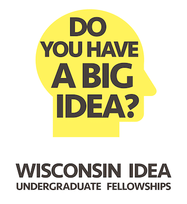 Wisconsin Idea Undergraduate Fellowship